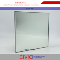 MIRRORS Micro-Framed colour MattSilver