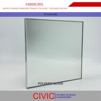 MIRRORS Micro-Framed colour PolishedSilve