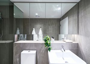 Product-Mirrors-ShavingCabinet1