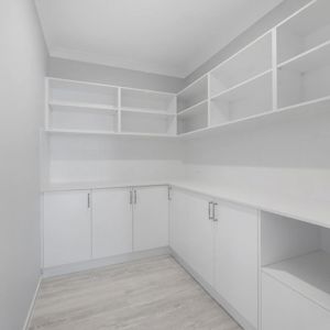 Product_Custom-Storage_Pantry_Blue-Water-Homes-Qld_2