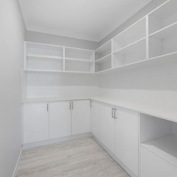 Pantry storage
