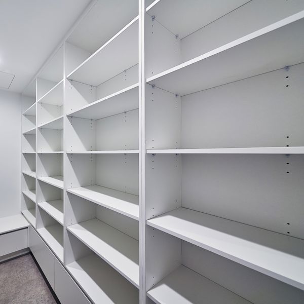 Adjustable shelf