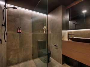 ShowerScreens_10mm_Panels_BlackHardware_ShavingCabinets_DaniLouiseDesign